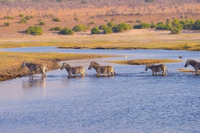 AmaWaterways River Cruise - Chobe River to Chobe River