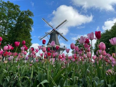 AmaWaterways River Cruise - Amsterdam to Amsterdam