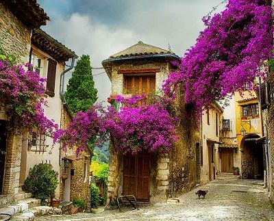 AmaWaterways River Cruise - Arles to Lyon