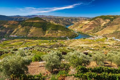 AmaWaterways River Cruise - Porto to Porto