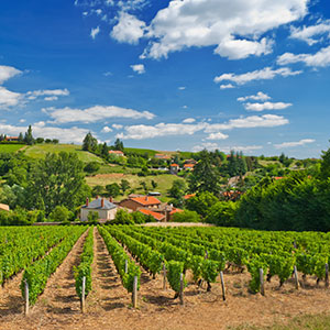 Avalon Waterways River Cruise - Basel to Bordeaux