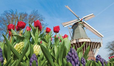 Tauck River Cruise - Brussels to Amsterdam